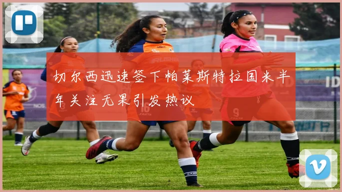 切尔西迅速签下帕莱斯特拉国米半年关注无果引发热议