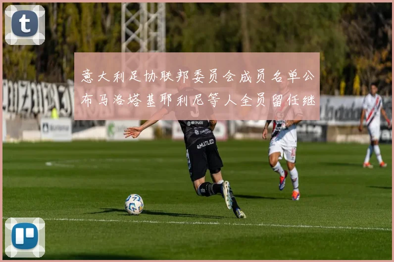 意大利足协联邦委员会成员名单公布马洛塔基耶利尼等人全员留任继续服务